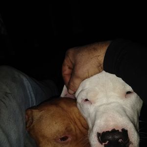 Meet your Posher, Ray